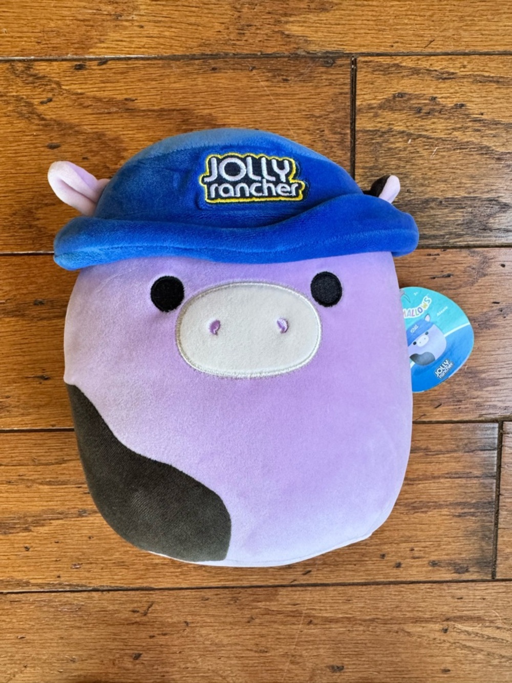 Squishmallows 8” Jolly Rancher Alexie Cow